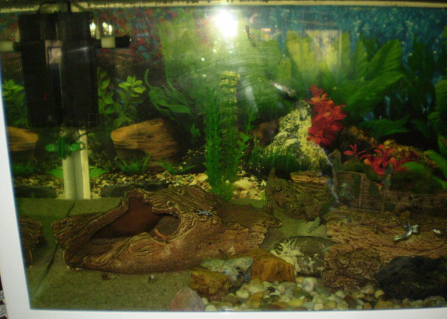 akvarium-v-rame-big-3