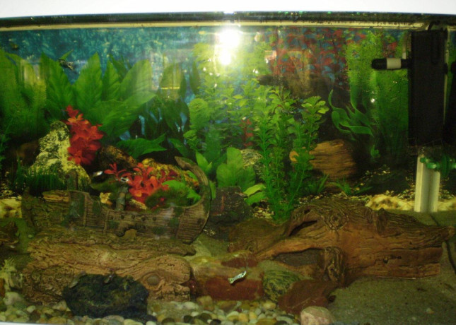 akvarium-v-rame-big-4
