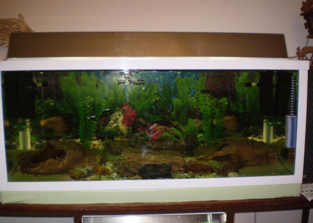 akvarium-v-rame-big-0