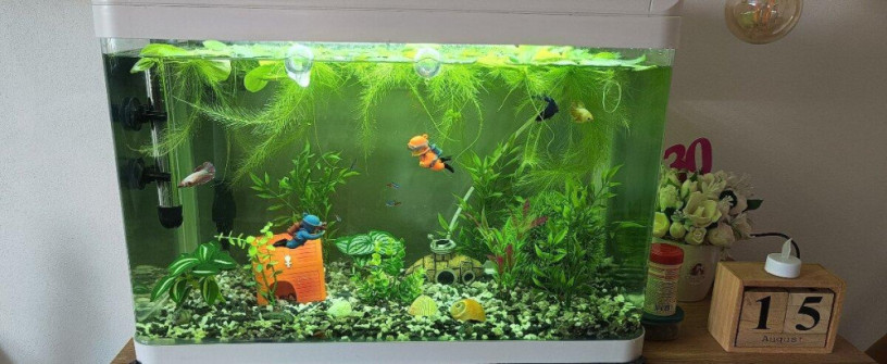 akvarium-60l-big-1