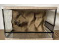 terarium-60x40x40-s-3d-stenou-small-1