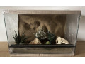 terarium-60x40x40-s-3d-stenou-small-4