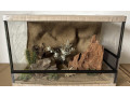 terarium-60x40x40-s-3d-stenou-small-0