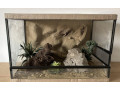 terarium-60x40x40-s-3d-stenou-small-2