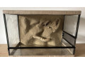 terarium-60x40x40-s-3d-stenou-small-3