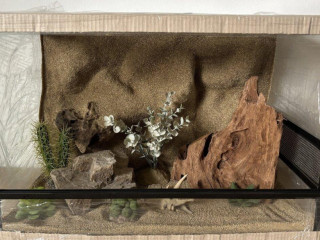 terarium-60x40x40-s-3d-stenou