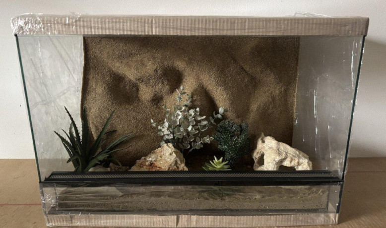 terarium-60x40x40-s-3d-stenou-big-4
