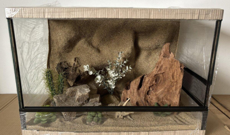 terarium-60x40x40-s-3d-stenou-big-0