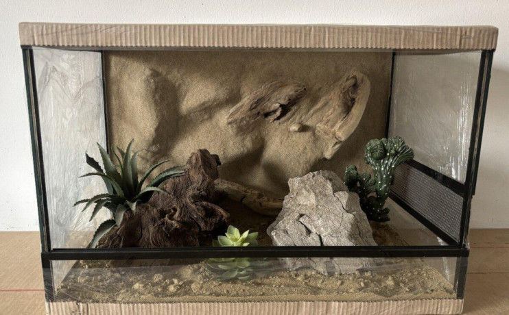 terarium-60x40x40-s-3d-stenou-big-2