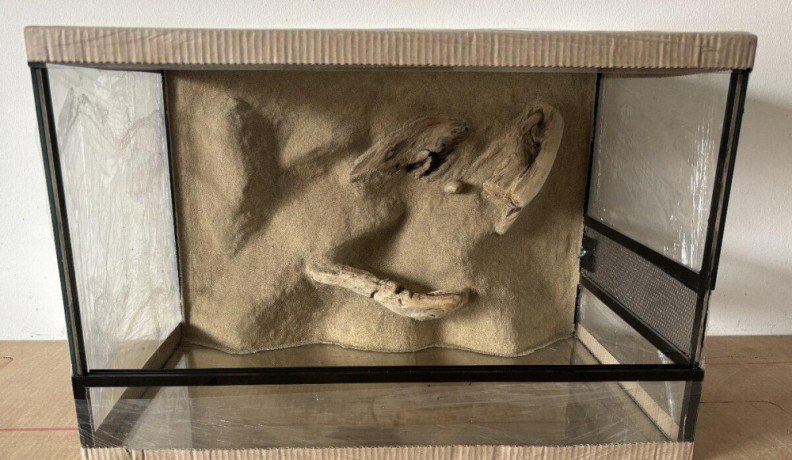 terarium-60x40x40-s-3d-stenou-big-3
