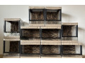 terarium-s-korkovou-3d-stenou-small-1