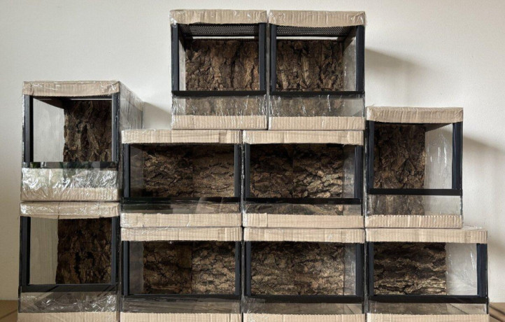terarium-s-korkovou-3d-stenou-big-1