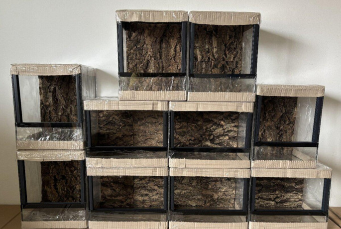 terarium-s-korkovou-3d-stenou-big-0
