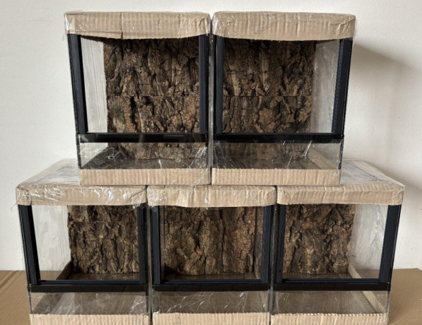 terarium-s-korkovou-3d-stenou-big-4