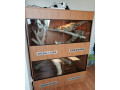 terarium-130x100x170-small-1