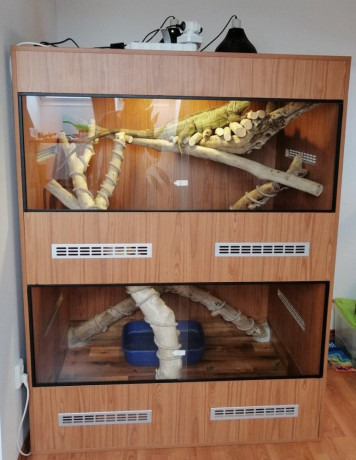 terarium-130x100x170-big-0