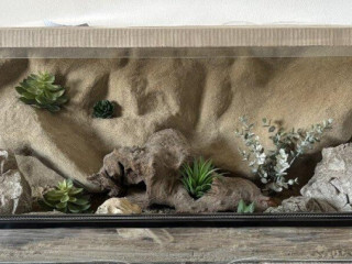 terarium-100x60x40-s-3d-stenou