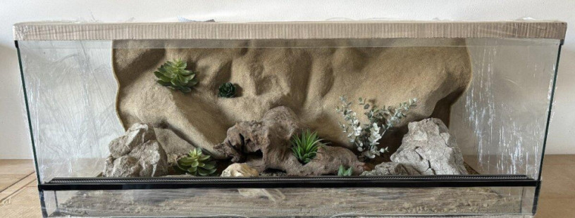 terarium-100x60x40-s-3d-stenou-big-0