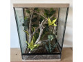 zariadene-terarium-s-vyskou-6070-a-80-cm-small-4