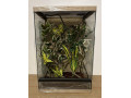 zariadene-terarium-s-vyskou-6070-a-80-cm-small-0