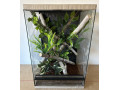 zariadene-terarium-s-vyskou-6070-a-80-cm-small-1