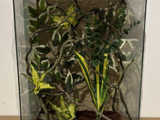 zariadene-terarium-s-vyskou-6070-a-80-cm