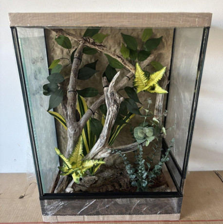 zariadene-terarium-s-vyskou-6070-a-80-cm-big-4