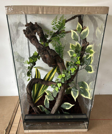 zariadene-terarium-s-vyskou-6070-a-80-cm-big-2