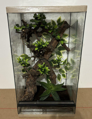 zariadene-terarium-s-vyskou-6070-a-80-cm-big-3