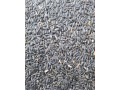 psenica-slnecnica-kukurica-hrach-soja-repka-small-2