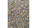 psenica-slnecnica-kukurica-hrach-soja-repka-small-4