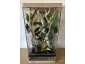 zariadene-terarium-30x30x50-30x30x60-a-30x30x70-small-3