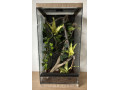 zariadene-terarium-30x30x50-30x30x60-a-30x30x70-small-4
