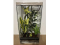 zariadene-terarium-30x30x50-30x30x60-a-30x30x70-small-1