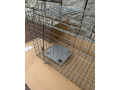 pasca-na-lisky-small-3