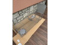 pasca-na-lisky-small-1