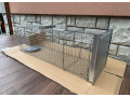 pasca-na-lisky-small-2
