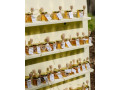 darcekovy-med-vceli-med-small-1