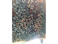 predam-vcely-odlozence-small-1