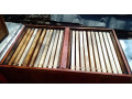 predam-vcely-odlozence-small-0