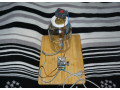 med-vceli-small-1