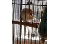 alexander-maly-small-0