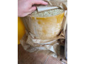 predam-vceli-vosk-small-0