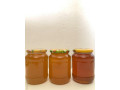 vceli-med-small-2