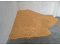 kukurica-small-4