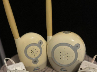 phillips-avent-pestunka