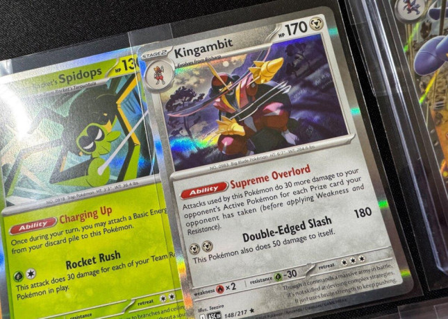 pokemon-balik-b-100ks-kariet-v-obaloch-s-ex-darceky-big-4
