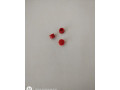 trackpoint-small-0