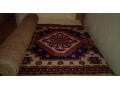 predame-kvalitne-koberce-behuny-small-0