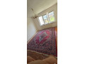 perzsky-koberec-small-1